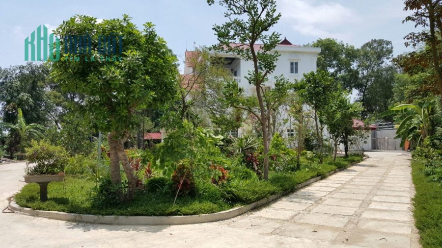 Chính chủ cần bán biệt thự trang trại hơn 3000m2 tại  Việt Trì Phú Thọ