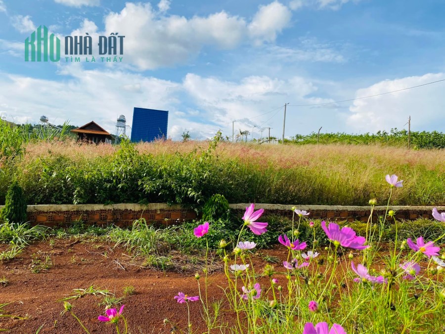 Chính chủ giảm giá bán nhanh trả nợ đất nghỉ dưỡng hơn 500m2 tại Gia Lâm, Lâm Hà, Lâm Đồng