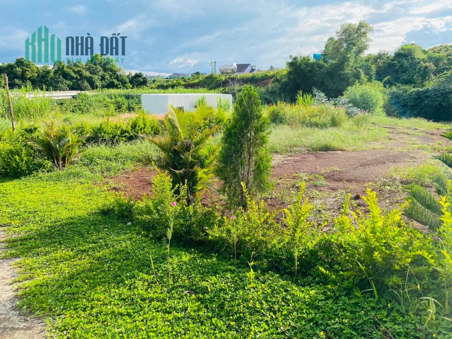 Chính chủ giảm giá bán nhanh trả nợ đất nghỉ dưỡng hơn 500m2 tại Gia Lâm, Lâm Hà, Lâm Đồng