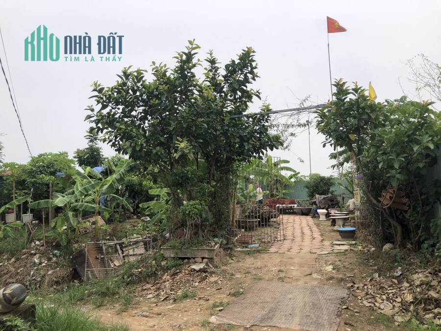 Cho thuê đất nền giá rẻ tại Mê Linh Hà Nội