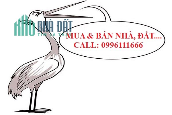 Bán nhà mặt phố Phùng Hưng, 54m2x4 tầng, giá 12.7 tỷ