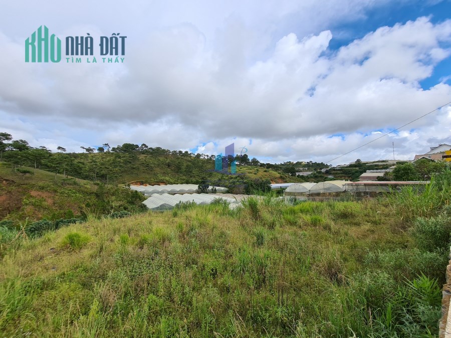 BÁN ĐẤT ĐANKIA - phường 7 - TP ĐÀ LẠT