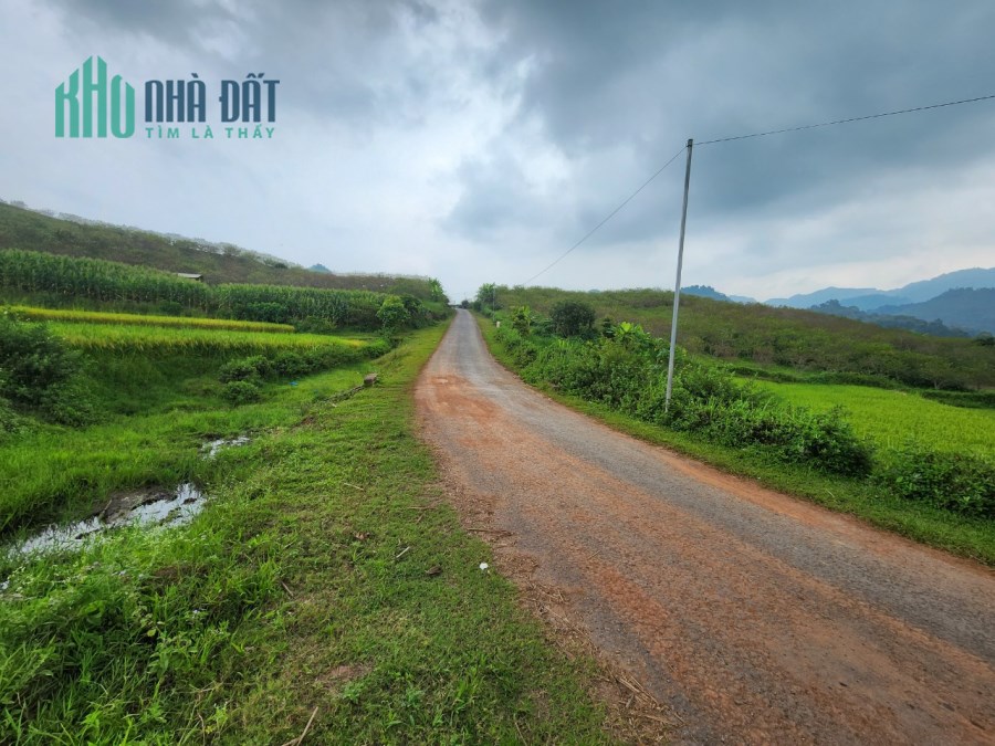 4500m Đất Chiềng Sơn View đồi chè, Giá chỉ vài trăm ngàn/m2, Sổ đỏ chính chủ