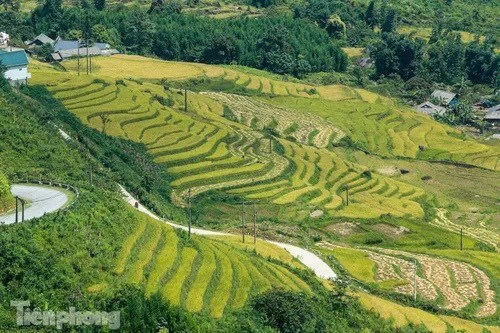 ĐẤT NỀN VEN SAPA. GIÁ RẺ THANH KHOẢN NHANH, PHÙ HỢP LÀM HOMESTAY