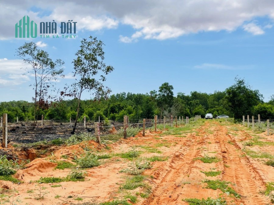Bán đất sào gần sân bay Phan Thiết Bình Thuận phù hợp để đầu tư 