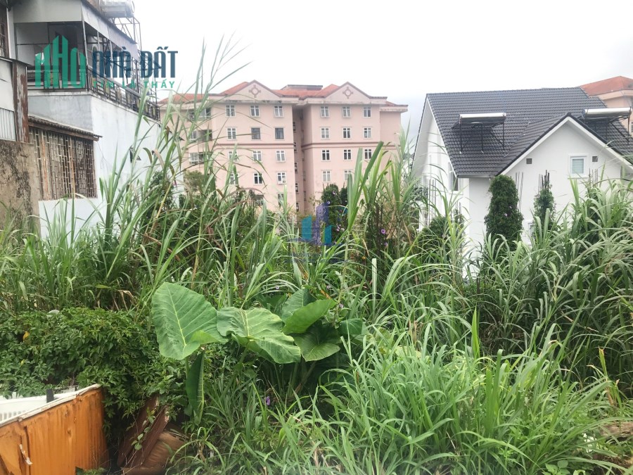 Bán đất Yersin - P9 - TP Đà Lạt