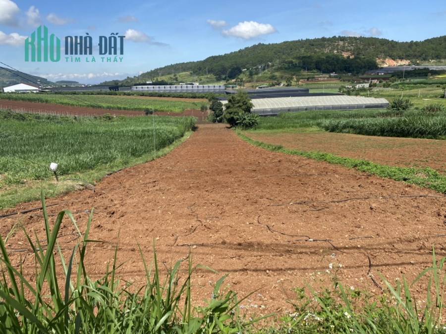 Cần trả ngân hàng bán 1300m2 đất Đạ Ròn có thổ cư, cách Sân Bay 9km