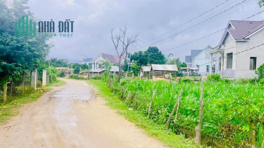 Cần tiền bán gấp đất gần chùa Ân Độ 1000m2 tại Tu Tra, Đơn Dương, Lâm Đồng