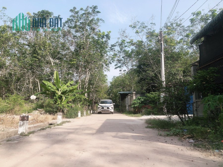 Bán lô đất tại Xã Minh Hòa, Huyện Dầu Tiếng, Bình Dương.