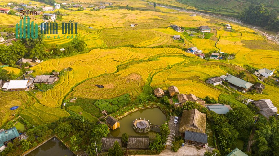 ĐẤT NỀN SAPA 2 MẶT TIỀN 1500m2, VIEW RUỘNG BẬC THANG BIÊN ĐỘ LỢI NHUẬN TĂNG GIÁ CAO