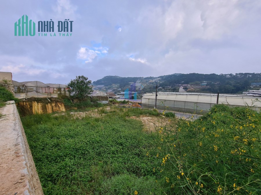 🍃BÁN ĐẤT NGUYỄN HỮU CẢNH- PHƯỜNG 8 - TP. ĐÀ LẠT.
