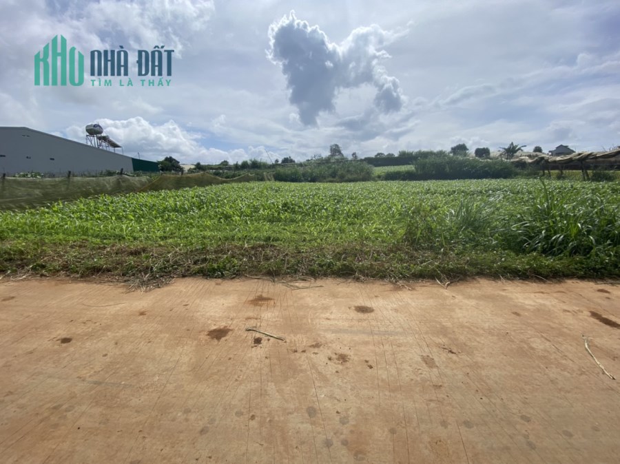 Đất vườn cao thoáng 600m2, có thổ cư 100m2, Cách nhựa DH11 chỉ 50m