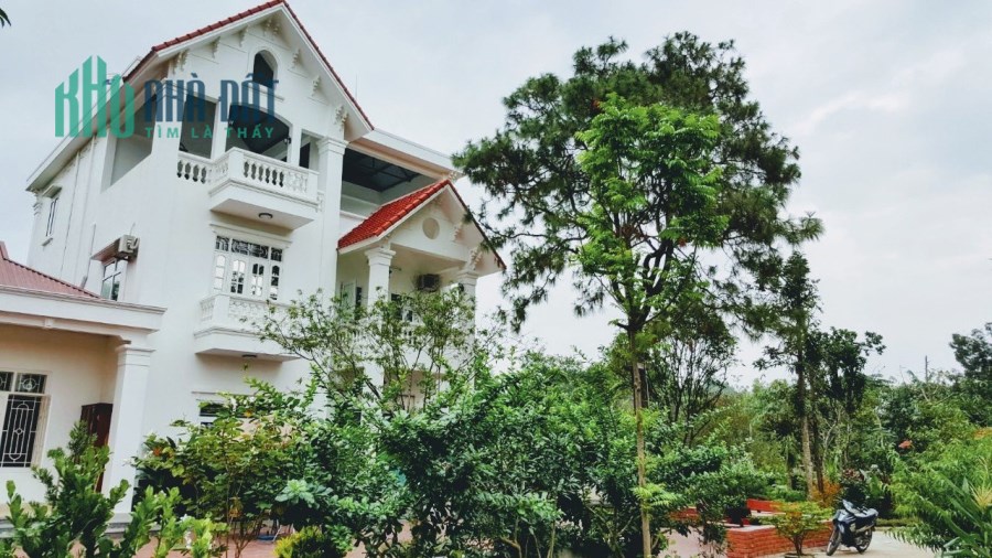 Cần 1 nơi để nghỉ dưỡng cuối tuần hoặc đầu tư, mua căn biệt thự 3300m2 tại Phú Thọ ngay và luôn