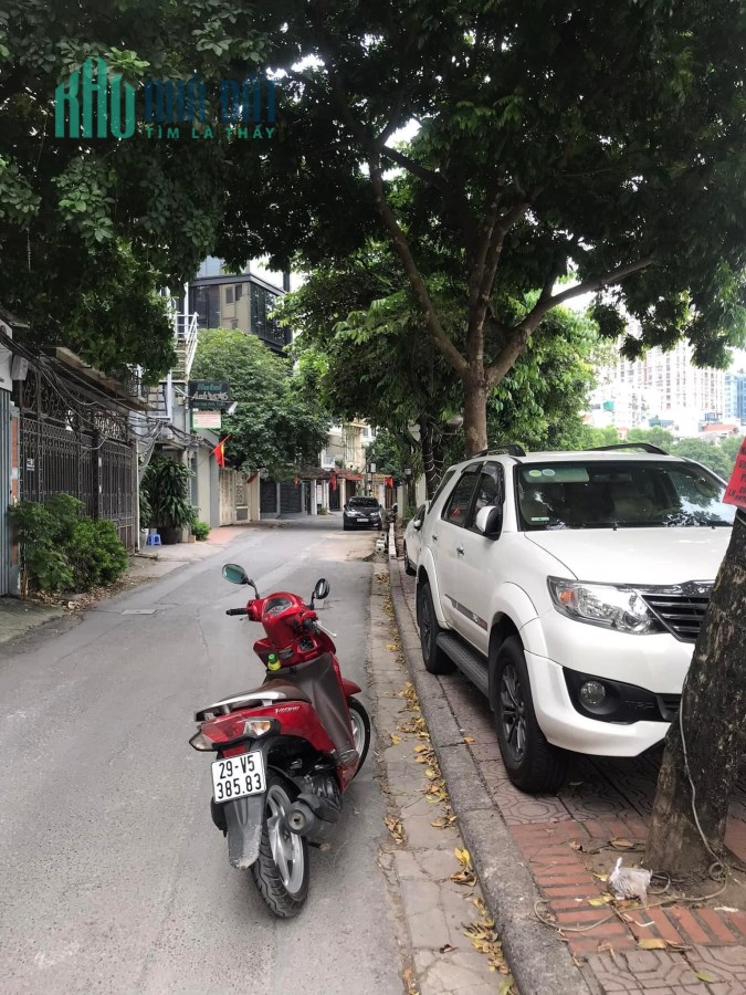 MẶT PHỐ MAI ANH TUẤN, VIEW HỒ HOÀNG CẦU, LÔ GÓC, 219M2, MT 10M, 73 TỶ