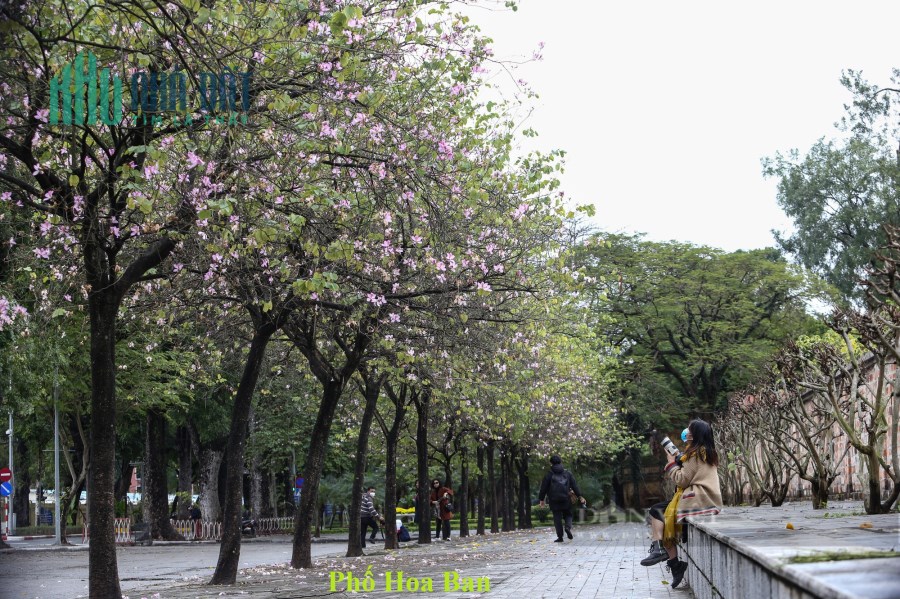 CƠ HỘI NGÀN VÀNG CHO CÁC NHÀ ĐẦU TƯ F0. EUROWINDOW GREEN  PARK YÊN BÁI