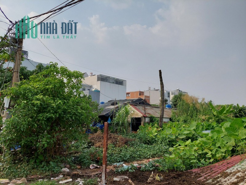 Đất Bán Siêu Đầu Tư Thới An Quận 12.