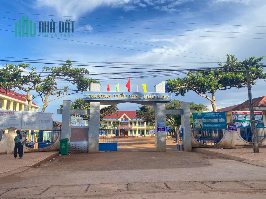 Chỉ từ 900 triệu 1 lô, cơ hội vàng tích trữ tài sản cuối năm 2022
