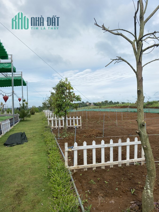 Bất gấp lô đất 130m2 giá 550tr ngay TP Bảo Lộc.SHR, công chứng ngay.