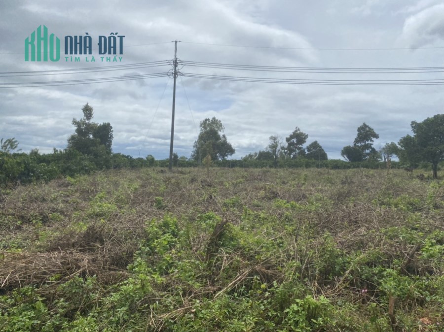 CHÍNH CHỦ BÁN LÔ ĐẤT MẶT TIỀN, GIÁ RẺ CÓ 1-0-2 TẠI LÀNG PHUNG ,XÃ BIỂN HỒ, TP PLEIKU