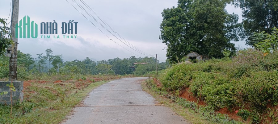 Chính Chủ nhờ bán giúp 1200m Mặt Tiền Đường Oto Tránh, View Cánh Đồng Dịu Êm, Gần Đường QL