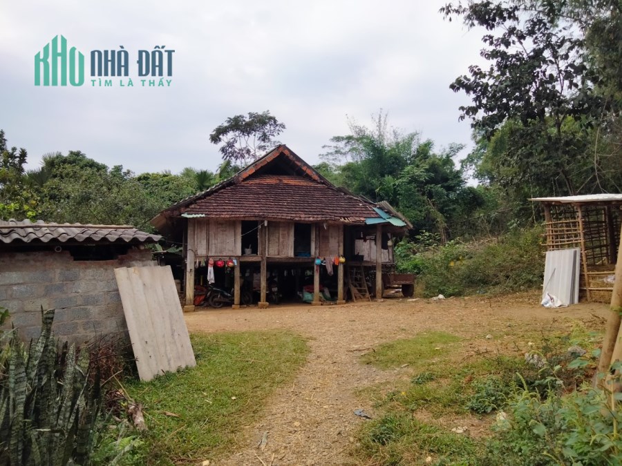 Chính chủ gửi bán 665m Mỹ Hòa - Tân Lạc sẵn nhà sàn giá chỉ nhỉnh 500 triệu.