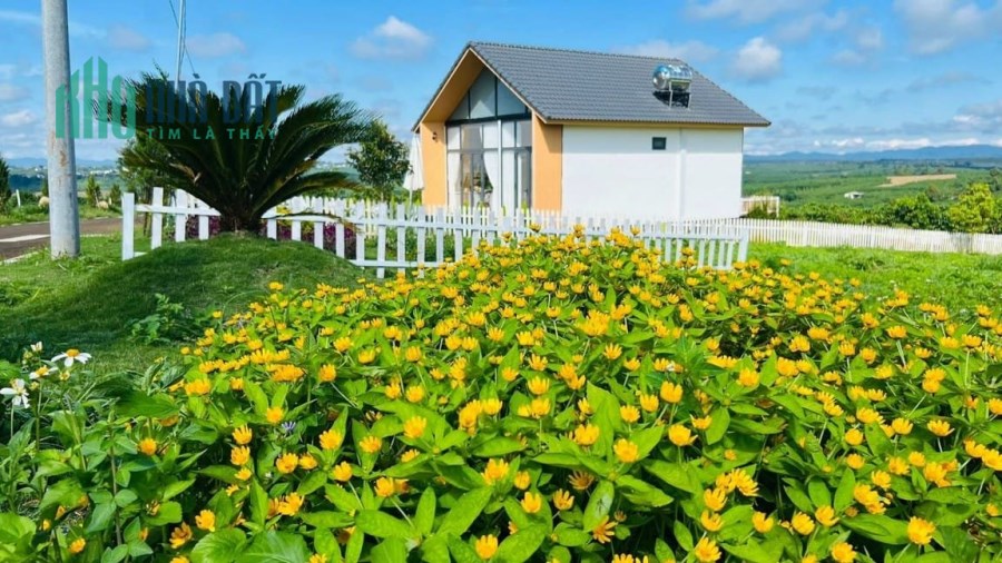 Mời quý KH trải nghiệm 2N1Đ tại Bảo Lộc với chi phí 0Đ và 6 suất nội bộ giá FULL 935tr/165m2.