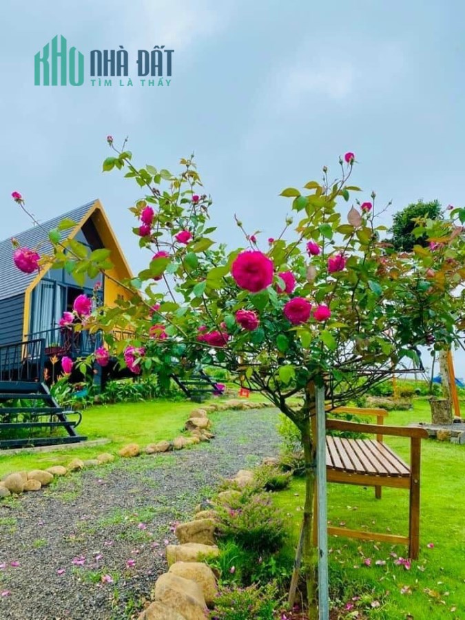Mời quý KH trải nghiệm 2N1Đ tại Bảo Lộc với chi phí 0Đ và 6 suất nội bộ giá FULL 935tr/165m2.