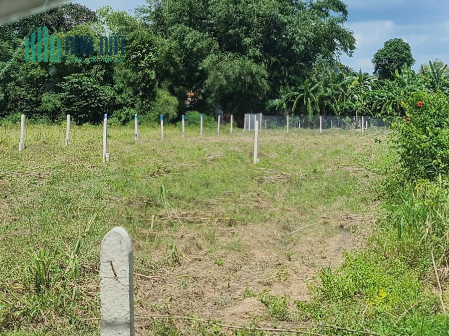 sản phẩm đất nền độc quyền tại gò dầu tây ninh