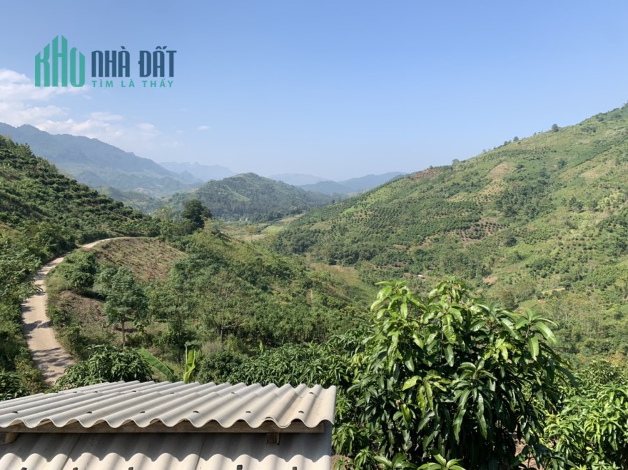 Bán đất Mộc Châu giá rẻ, đón sóng cao tốc, Mảnh đất thuộc bản nà sài- hua păng- mộc châu 2,1 ha