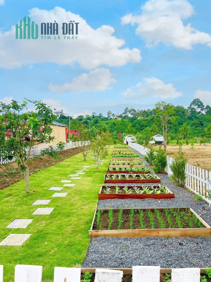 Đất Bảo Lộc Giá Rẻ - Bảo Lộc Garden Hill - 1 Tỷ/Nền sở hữu ngay 200m2 - Sổ hồng công chứng ngay