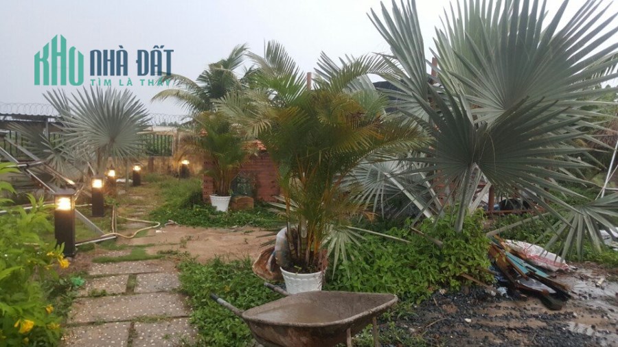 Biệt Thự Sân Vườn Mặt Tiền 2000m2 Cho Thuê