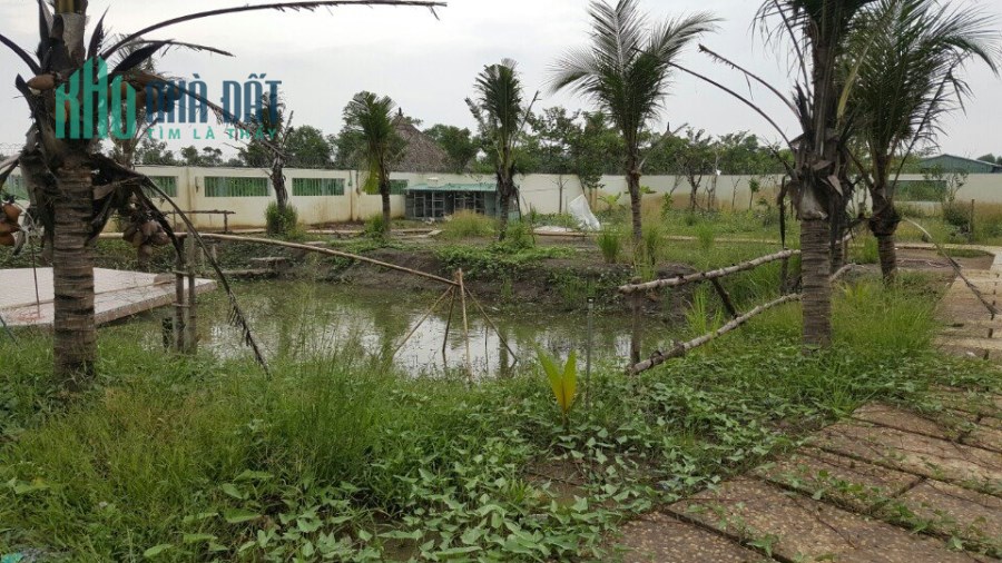 Biệt Thự Sân Vườn Mặt Tiền 2000m2 Cho Thuê