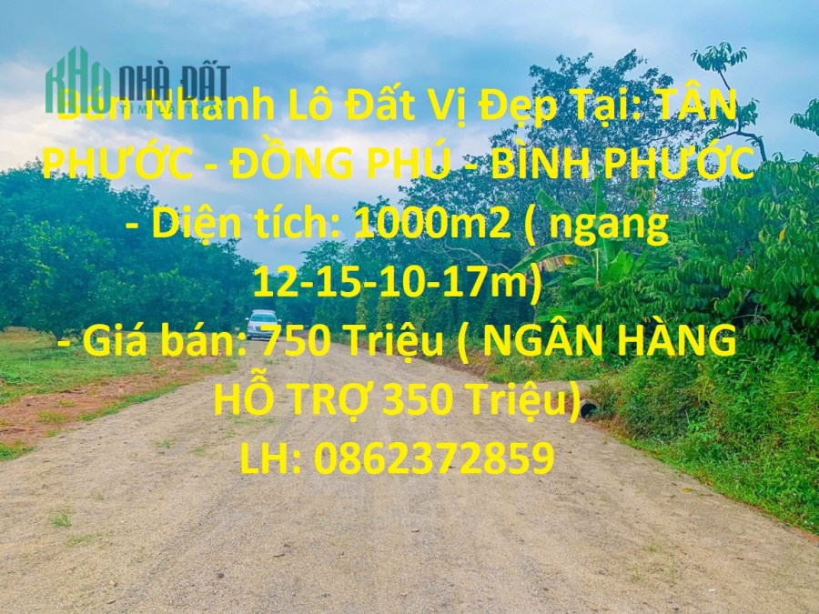 Bán Nhanh Lô Đất Vị Đẹp Tại: TÂN PHƯỚC - ĐỒNG PHÚ - BÌNH PHƯỚC