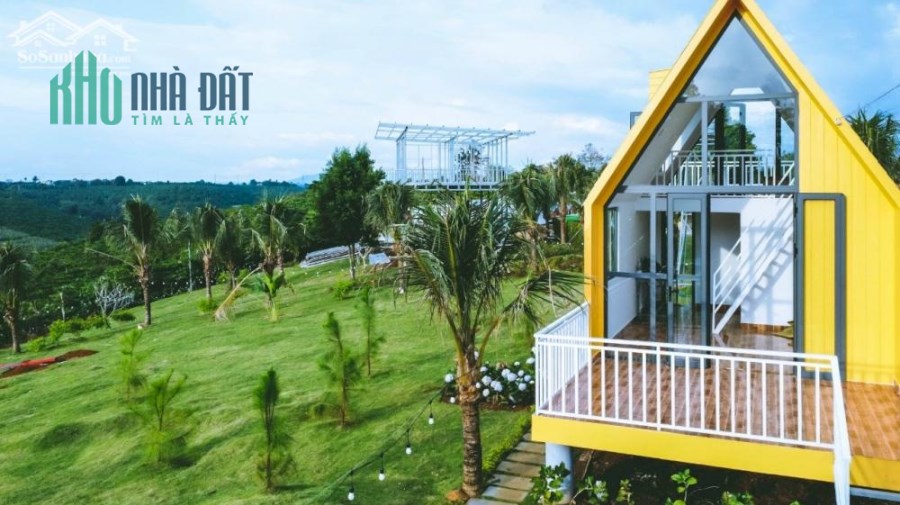 BÁN ĐẤT NỀN KHU NGHỈ DƯỠNG HOMESTAY SUNFLOWER NGAY BẢO LÂM - LÂM ĐỒNG