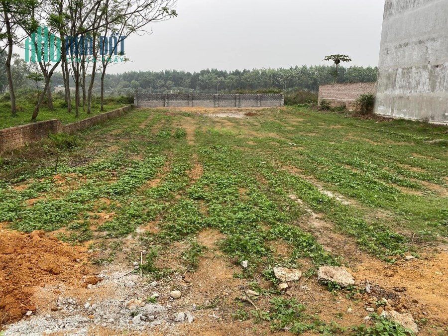 Bán đất đầu tư Triệu Sơn-Thanh Hóa diện tích 350m2