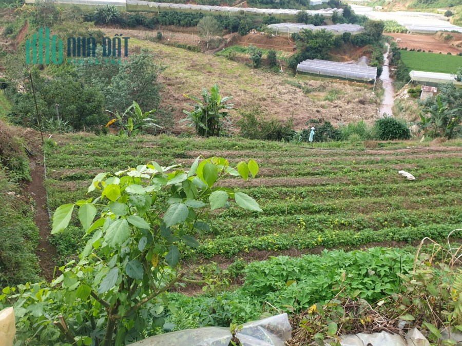 Cần bán gấp đất rộng giá rẻ view đẹp tại Xuân Thọ, Đà Lạt 3000m2 giá 2.7 tỷ