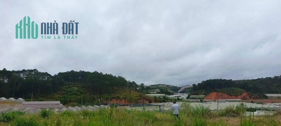 Chủ ngộp cần bán nhanh lô đất view dẹp ở P7 Đà Lạt, dt 1.140m2 giá chỉ có 4 tỷ