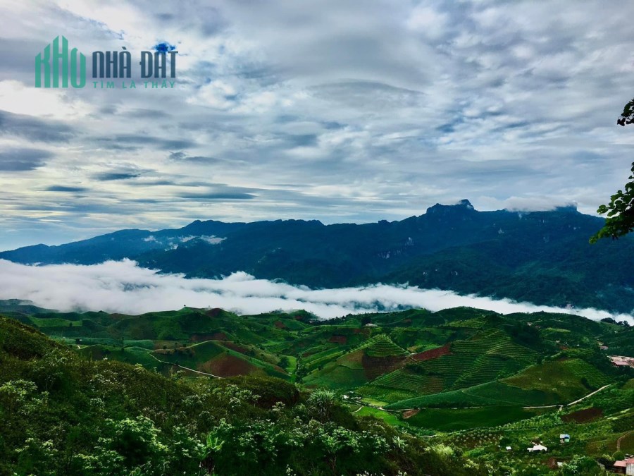 CẦN BÁN MẢNH ĐẤT MỘC CHÂU VIEW CỰC ĐẸP, NHÌN SANG ĐỈNH PHA LUÔNG, KHU SĂN MÂY