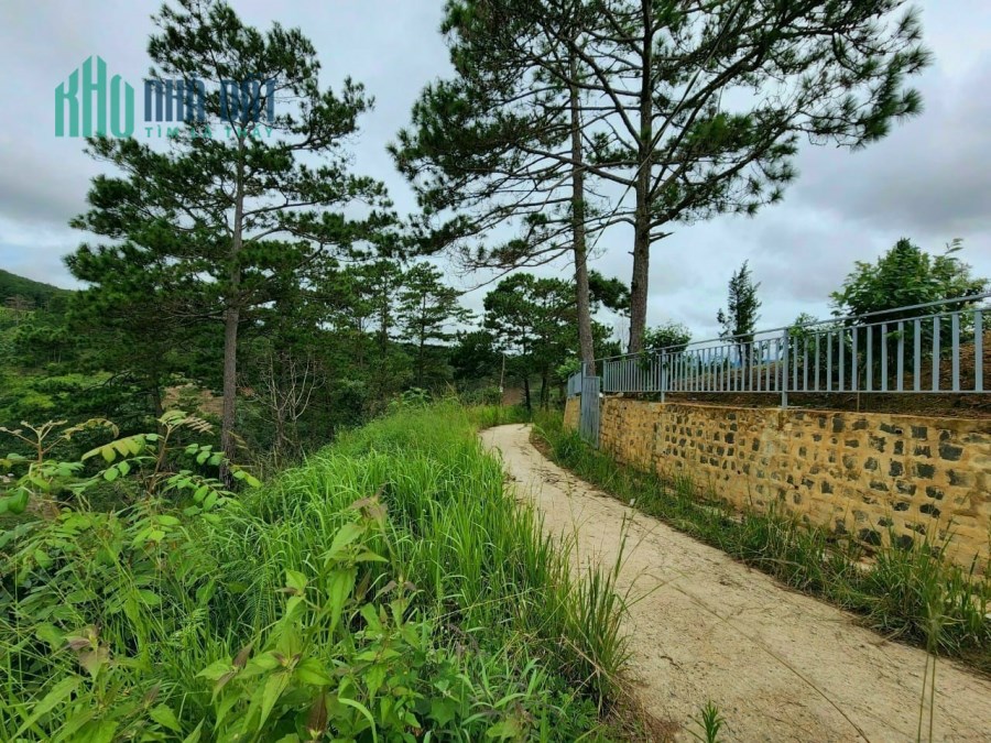 Ngộppppp..... Giảm giá bán gấp đất rộng view đẹp tại Đà Lạt 1000m2 giá chỉ 2.75 tỷ