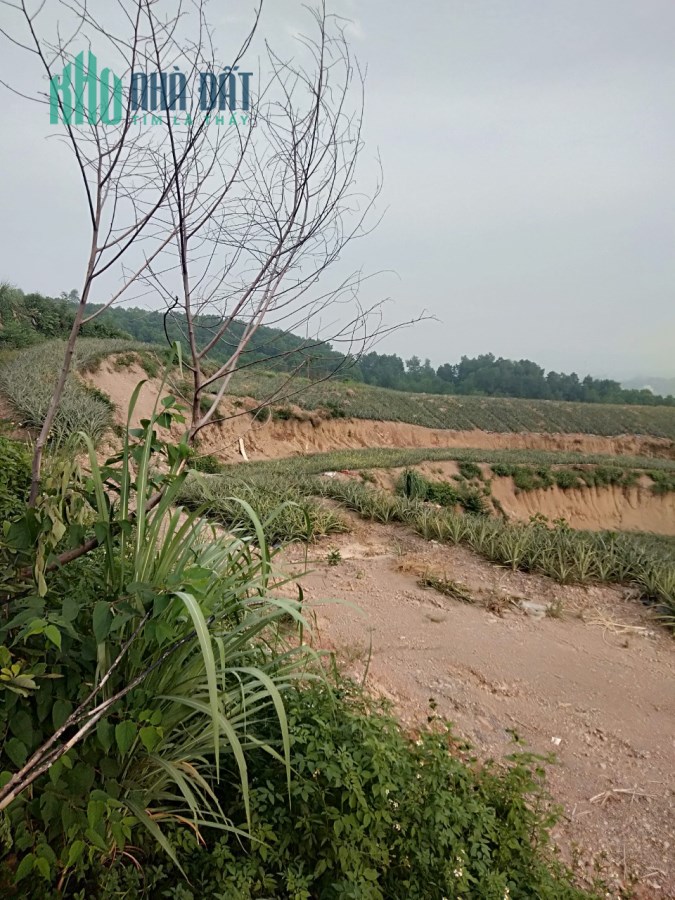 Cần Bán Lô Đất Tại Huyện Nho Quan, Tỉnh Ninh Bình