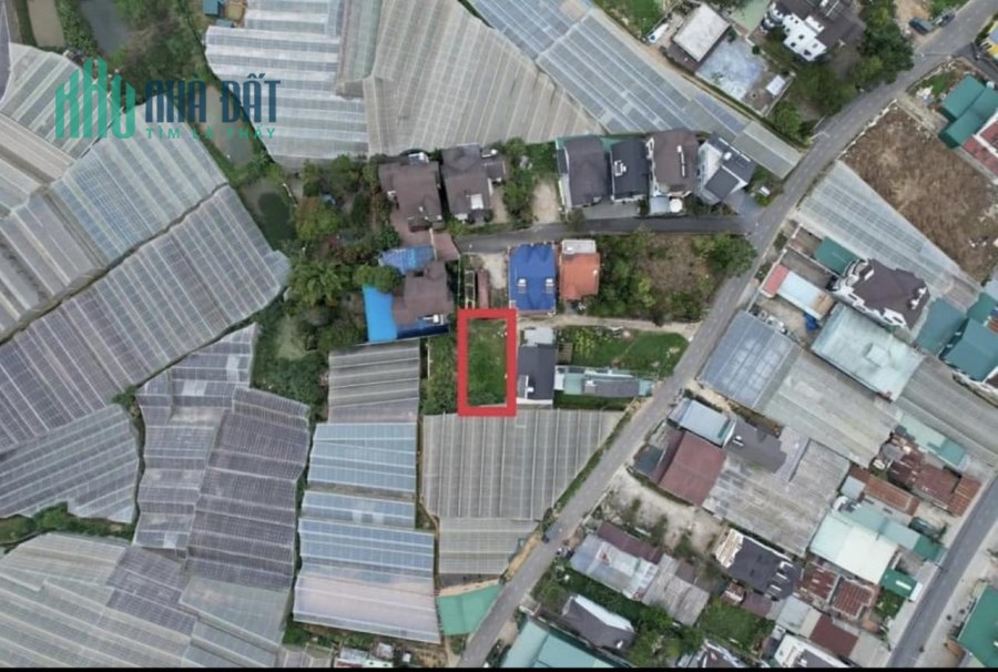 Bán đất biệt lập đường Trần Đại Nghĩa Phường 8 Đà Lạt