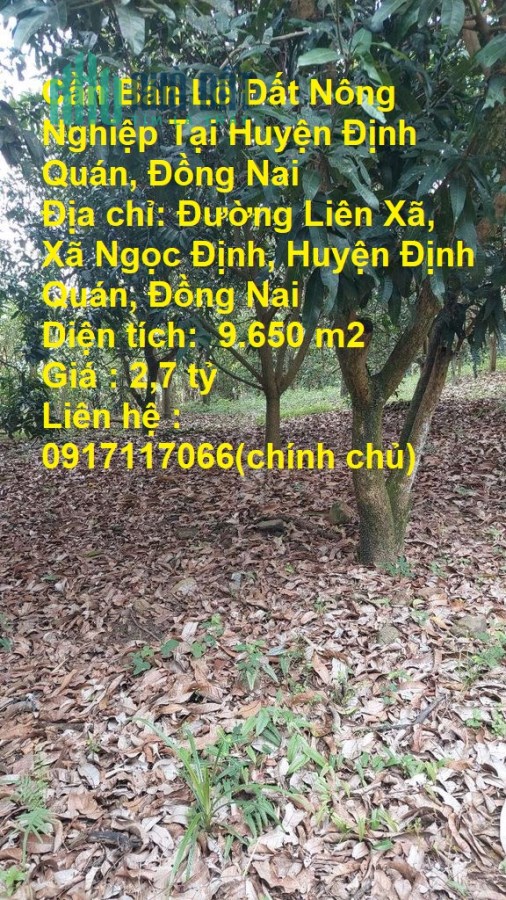Cần Bán Lô Đất Nông Nghiệp Tại Huyện Định Quán, Đồng Nai