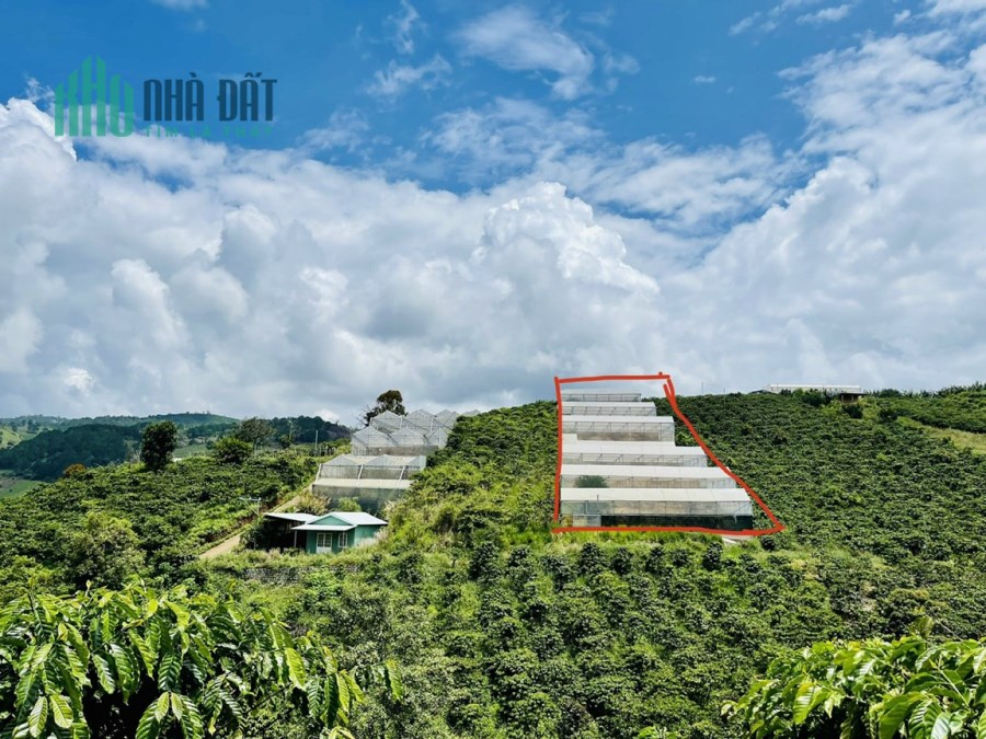 Ngộppppp..... Giảm giá bán gấp lô đất rộng view đẹp tại Tà Nung, Đà Lạt 2514m2 giá tốt chỉ 3.85 tỷ
