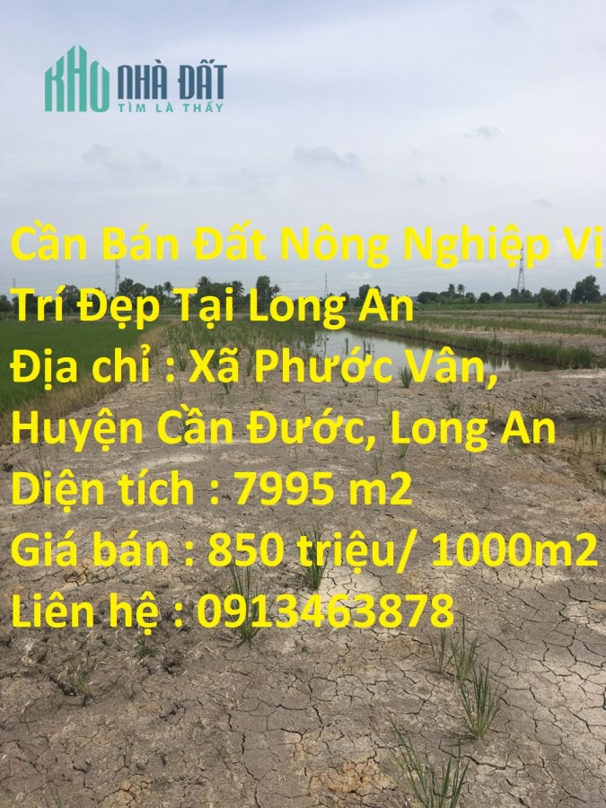 Cần Bán Đất Nông Nghiệp Vị Trí Đẹp Tại Long An