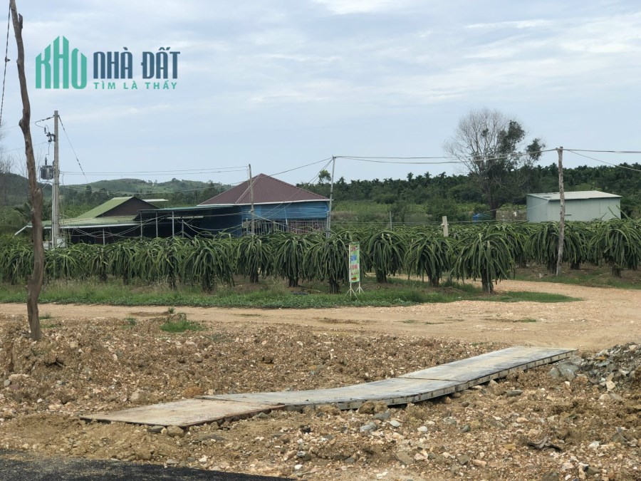 Chủ cần thu hồi vốn, bán gấp 1 hecta đất thanh long tại Bình Thuận, sát đường cao tốc Bắc Nam