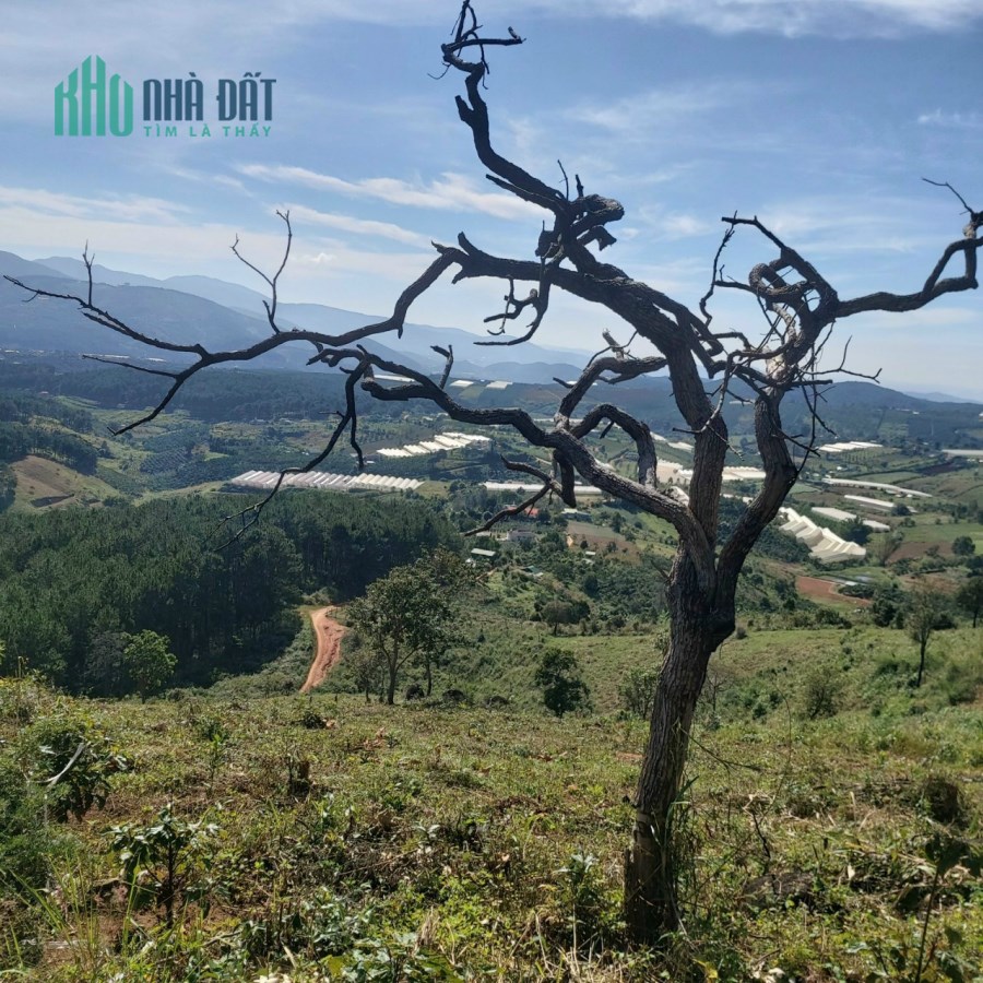 Cần tiền bán gấp đất rộng view đẹp tại Tà Nung, Đà Lạt