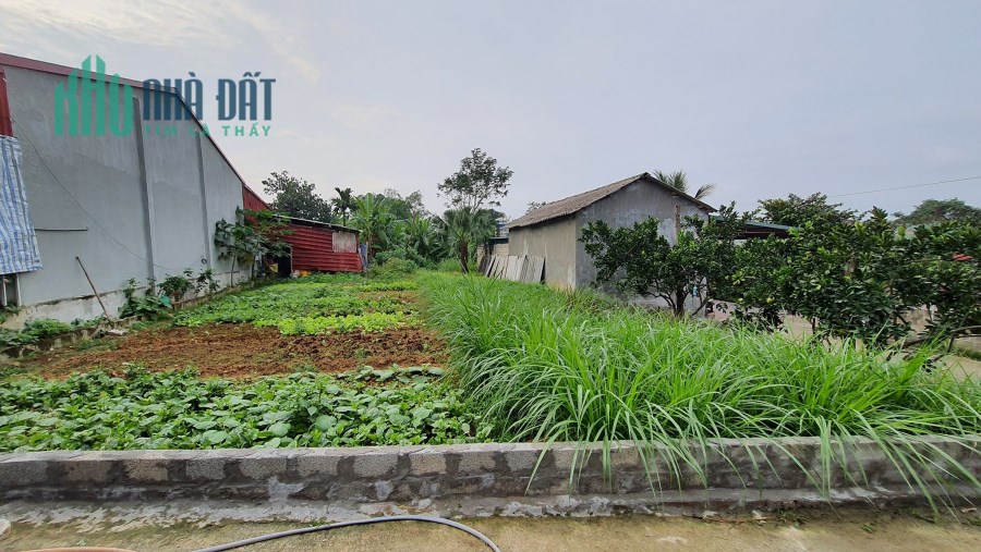 Chính chủ cần bán lô đất tại KCN Thôn Cõi – Xã Đạo Tú – Huyện Tam Dương – Tỉnh Vĩnh Phúc .