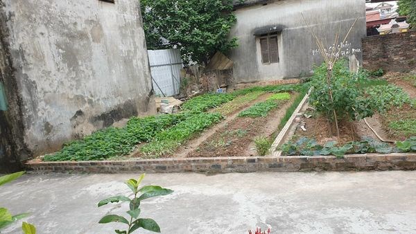 Cực Hiếm 50m2, Xóm Đường Nguyên Khê Đường Siêu Rộng Xe Tải Chạy, Mà Chỉ Hơn 1 tỷ