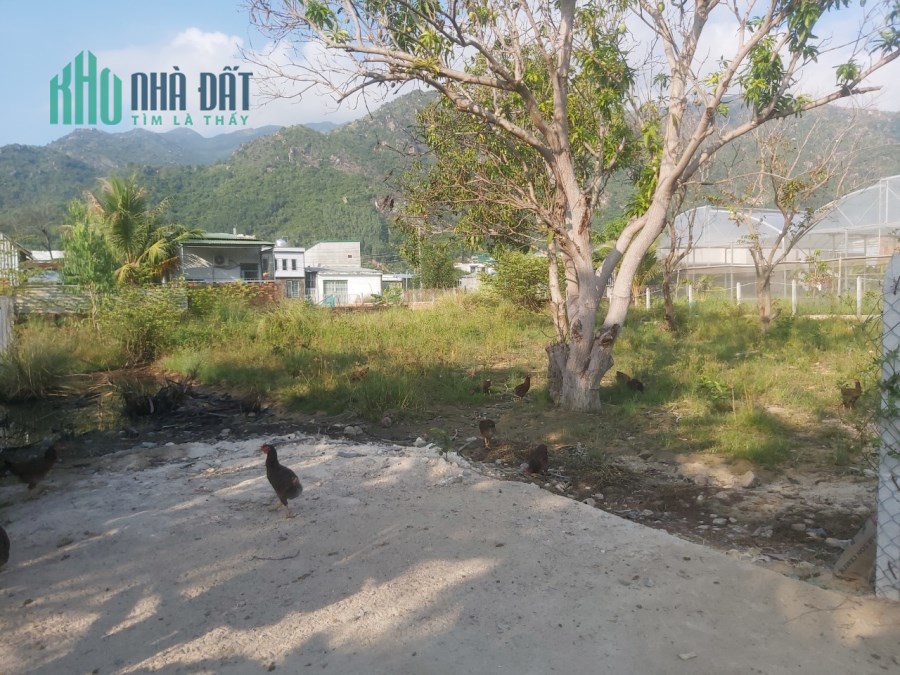 BÁN LÔ ĐẤT THÔN PHƯỚC HẠ - PHƯỚC ĐỒNG,NHA TRANG, QH THỔ CƯ GIÁ 4,5 TỶ