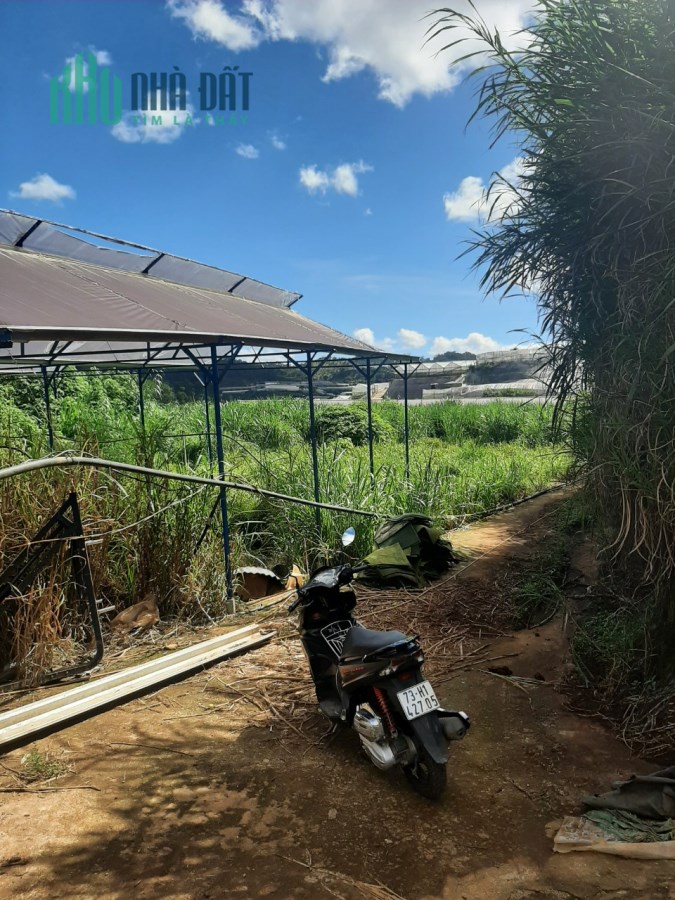 Cần bán đất giá rẻ 450 triệu khu Làng Hoa Vạn Thành, Đà Lạt
